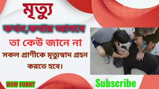 মৃত্যু কখন আসবে কেউ জানে না, মৃত্যুর স্বাদ সকল প্রাণীকে গ্রহন করতে হবে #wowfunny #মৃত্যুর #death