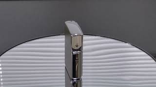 【ZIPPO ネコとてんとう虫】シルバー【喫煙具のハヤミ】