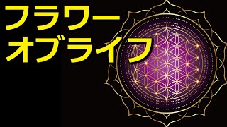 フラワーオブライフは宇宙の真理を内包している？神秘の力を秘めた神聖幾何学とは