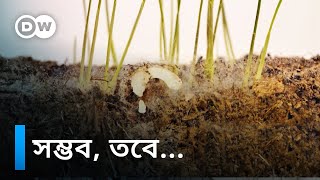 জঞ্জাল দিয়ে পরিবেশবান্ধব প্লাস্টিক তৈরির উদ্যোগ