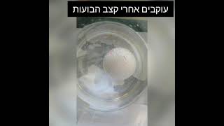 ביצה טרייה בחומץ