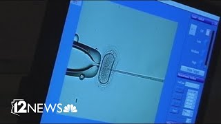 Legal Deep Dive: Lawsuit over IVF mix-up