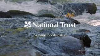 Everyone needs nature, so relax by a stream with the National Trust