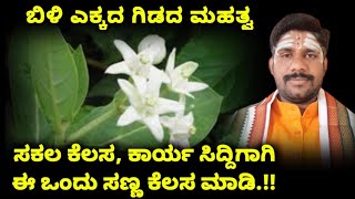 ಸಕಲ ಕೆಲಸ, ಕಾರ್ಯ ಸಿದ್ದಿಗಾಗಿ ಈ ಒಂದು ಸಣ್ಣ ಕೆಲಸ ಮಾಡಿ | ಬಿಳಿ ಎಕ್ಕದ ಗಿಡದ ಮಹತ್ವ  | Ekkada Gida| Ekkada Gida