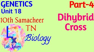 10th std Biology, Unit 18 Genetics, Dihybrid Cross, Part 4, Samacheer Kalvi TN