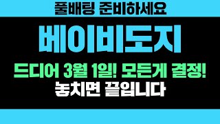 베이비도지 풀배팅 준비하세요. 드디어 3월 1일! 모든게 결정! 놓치면 끝입니다 #베이비도지코인호재 #베이비도지코인급등