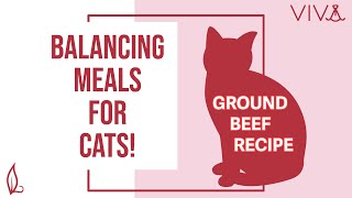 Balancing Viva Raw (Beef) For Cats