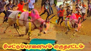 மேட்டுப்பாளையம் எருதாட்டம் பட்டய கெலப்பிய காளைகள் | salem eruthattam | kangayam kathalan