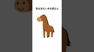 馬に関する雑学① #雑学 #雑学聞き流し #日常 #知識 #豆知識 #shorts