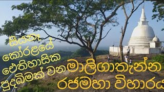 ඓතිහාසික මාලිගාතැන්න රජමහා විහාරය | Maligathenna Raja Maha Viharaya | Harshana Pramood