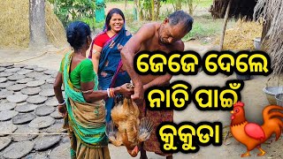 ବାପା ଦେଲେ ଗେଲ୍ହା ପାଇଁ କୁକୁଡା 🐓 //#kandheiranivlog