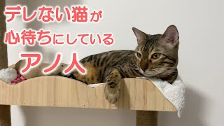 《猫の実話》普段クールで飼い主にすらデレない猫。そんな猫が唯一デレたのは、大好きなアレを運んできてくれるアノ人！？