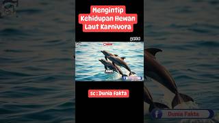 MENGINTIP KEHIDUPAN HEWAN LAUT KARNIVORA !!! part 6