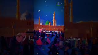 Ae Sabz Gumbad Wale Part - 6 lyrics video !! Hafiz Tahir Qadri Naats !! #status #shorts #viral