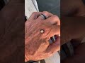 Spiny orb weaver climbs on mans hand!!😱😱🕷 #shorts #animals #insects #bug #bugs #spider