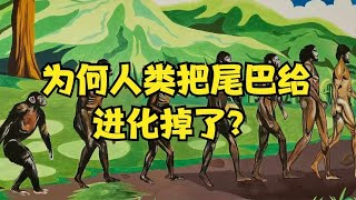 爲何人類會把尾巴進化掉了，留下來不行嗎？科學家揭示答案