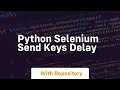 python selenium send keys delay