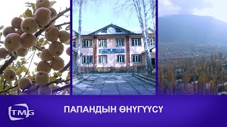 ИЙГИЛИК | ПАПАНДЫН ӨНҮГҮҮСҮ