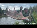 willow air alaska moose hunting alaska