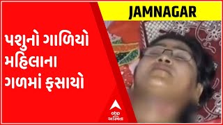 જામનગરમાં પશુનો ગાળિયો ફસાયો મહિલાના ગળામાં, મહિલા 50 ફુટ સુધી ઘસેડાઈ; જુઓ ગુજરાતી ન્યૂઝ