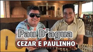 Pau D'água - Cezar e Paulinho
