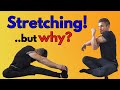 Why Stretching Is Good For Your Body  | The Science Behind Stretching