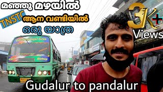 GUDALUR TO PANDALUR  Travelling by tamilnadu govt bus | Amazing travelling experience  | TAMIL NADU