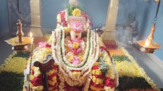 அருள்மிகு ஸ்ரீலஸ்ரீ சுப்பையா அப்பையா சித்தர்கள் குரு பூஜை