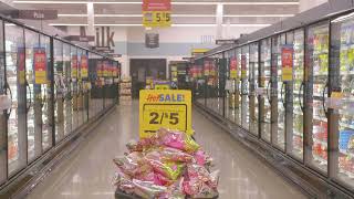 Food Lion: Sustainability