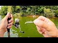 Ultralight Fishing with Gulp Minnows | 3 Hours RAW and UNCUT