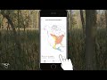 explore birds with merlin app