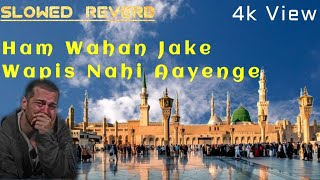 Ham Wahan Jake Wapas Nahi Aayenge😭/ Slowed & Reverb / #viralvideo