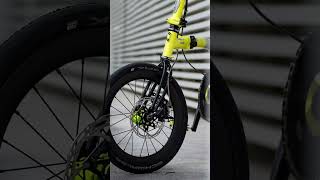Gorgeous Vostok Brompton with Characteristic Space Frame Fork (7.2025)