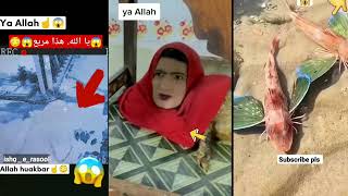 Allah ka Karishma !! viral shorts !! miracle Of Allah !!@IshqeRasool786