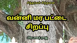 வன்னி மர பட்டை சிறப்பு