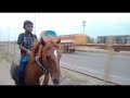 இந்த நாட்டு குதிரை 🐎 விற்பனை ஆண்