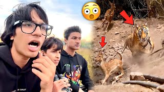 Tiger Ne Attack Kar Diya Deer Pe || Tiger Attack in Deer || Sourav Joshi Vlogs 😱