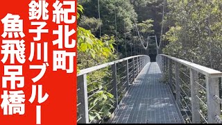 【吊り橋探訪】三重県 紀北町 奇跡の清流 銚子川に架かる【魚飛吊り橋】銚子川ブルーが美しい✨