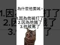 貓貓迷因考試！看看你厲不厲害！ 貓咪系列 貓咪 memes meme catmeme 貓咪迷因 迷因 迷因系列 迷因合集 迷因梗圖 求火 剪起來超級難