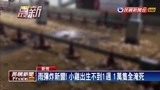 雨彈炸新豐！ 1萬隻小雞淹死 黃水灌入民宅－民視新聞