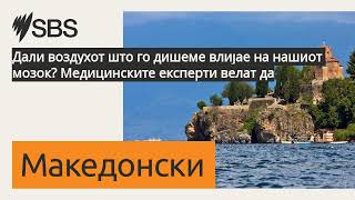 Дали воздухот што го дишеме влијае на нашиот мозок? Медицинските експерти велат да | SBS...