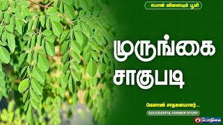 முருங்கை சாகுபடி  | Successful Farmer Story