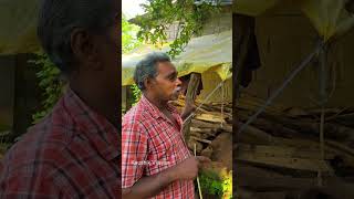 കടുവയെ കണ്ട സ്ഥലത്തിന്റെ ദുരം | tiger attack | pathanamthitta | kerlaforest | tiger story