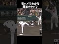 音ハメで学ぶ藤浪晋太郎 shorts