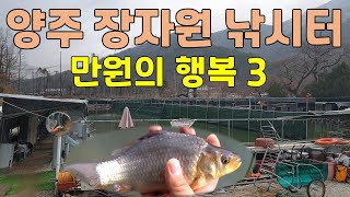 꿀조사 #41 양주 장자원 낚시터 - 만원 손맛터 (내림 낚시)