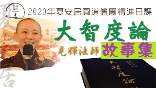 【大智度論故事集】040 菩薩禪 鳥在螺髻仙人上築巢，仙人為不傷鳥再次入定 迦葉聞天王樂音供佛心不能安  鬱陀羅迦仙人被摸腳失定 見輝法師 20200709