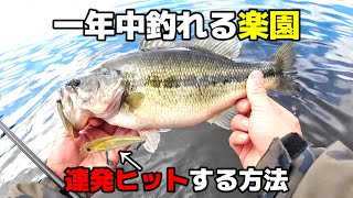 釣りが上手になる冬の最高な釣り場。それでも食い渋った時に釣れる方法を紹介します【バス釣り】