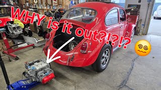 A Day in the Life of Vintage Classic Specialist, Episode 305, '69 Cal Look motor had to come out!