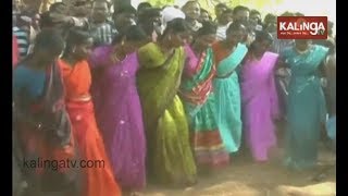 Kalahandi : Tribals celebrate ‘Toki Mara’  | Kalinga TV