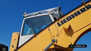 70196347 Liebherr A316 Litronic